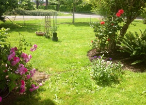 Part of My Garden